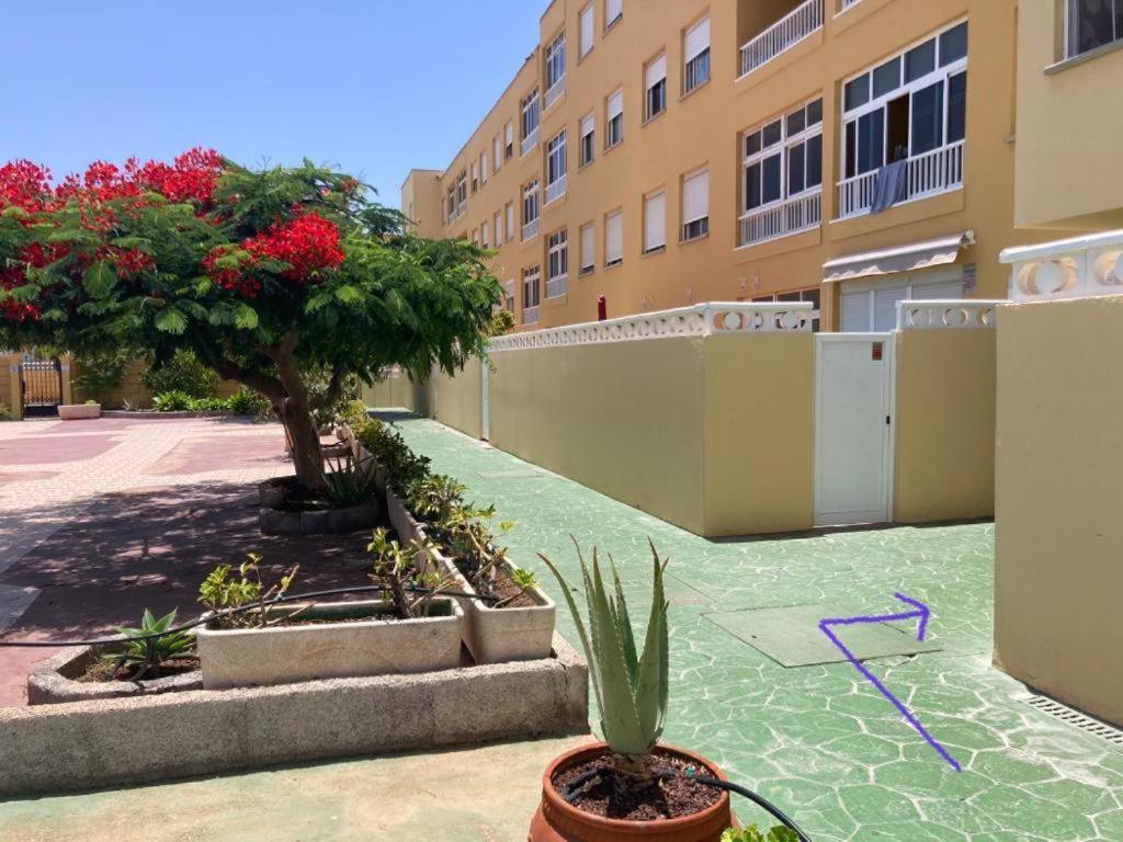 Apartamento Lolo El Médano Dış mekan fotoğraf